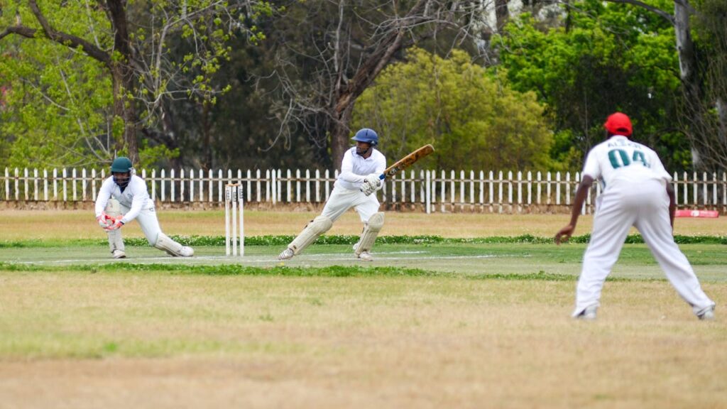 Men Playing Cricket